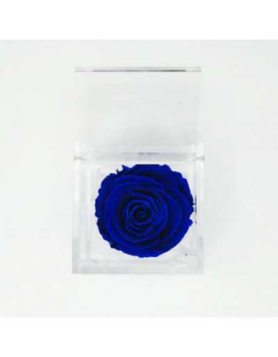 Cubo de flores 10 x 10 estabilizado rosa azul