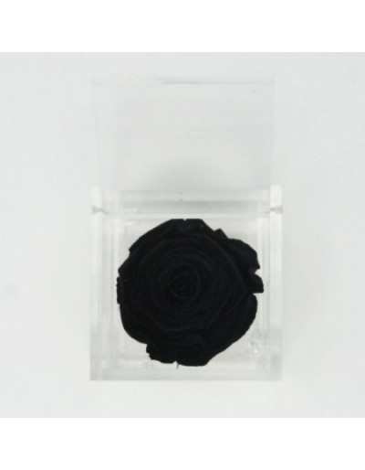 Cubo de flores 12 x 12 Rosa estabilizada preta