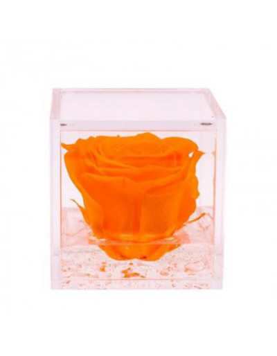 Mini Flowercube 4.5 x 4.5 Stabilized Rose with Orange Scented