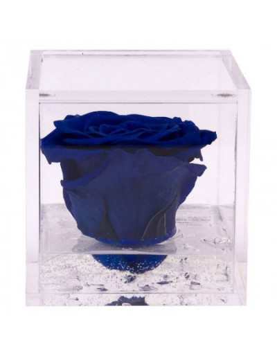 Mini Cubo de Flores 4,5 x 4,5 Azul Perfumado Rosa Estabilizada