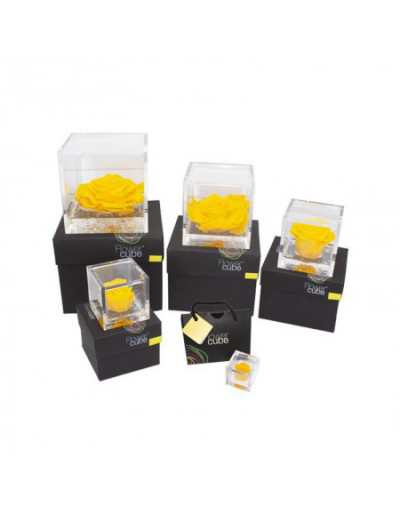 Mini Cubo de Flores 4,5 x 4,5 Rosa Estabilizada Perfumada Amarela