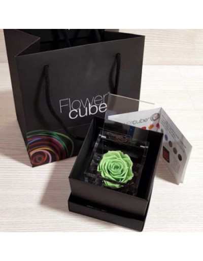 Mini FlowerCube 4,5 x 4,5 Zielona Perfumowana Stabilizowana Róża