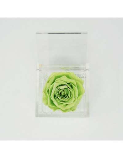 A 1089 Cuberose Cubo Rosa Stabilizzata Verde 8cm 8x8x8 – Il Cubo con Una  Vera e Propria Rosa eterna, Dura più di 5 Anni, Non ha Bisogno di Acqua ne  Luce Premium-Rose –