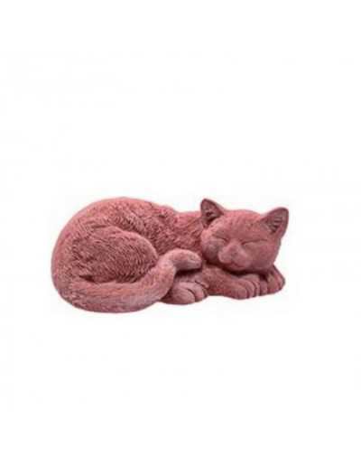 Galestro sleeper cat