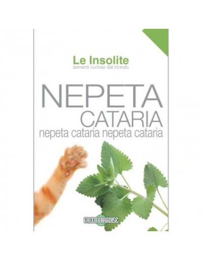 Semi in Busta Le Insolite - Nepeta Cataria