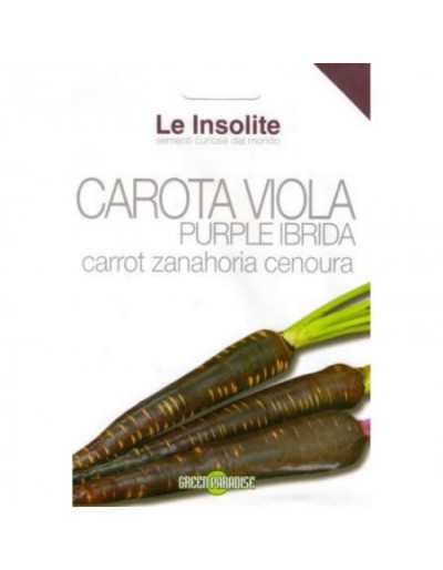 Semillas en Bolsa Le Insolite - Purple Hybrid Purple Carrot