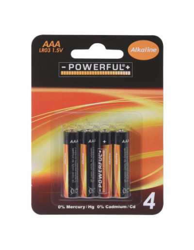 4 AAA Alkaline batteries