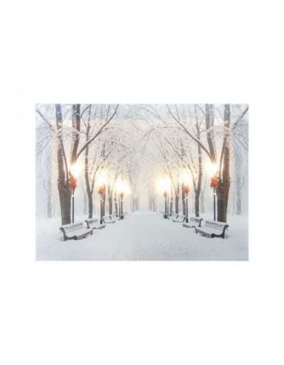 Wall Decoration Winter LED 20 x 15 Canvas