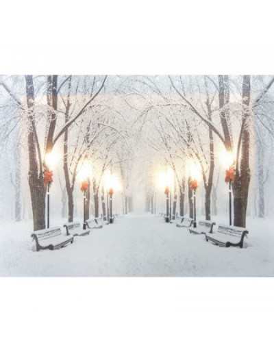 Wall Decoration Winter LED 20 x 15 Canvas