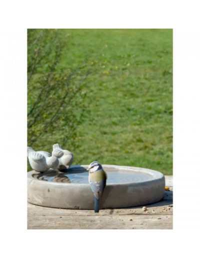 Bañera de hormigón y bebedero para pájaros