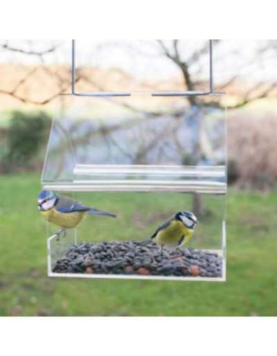 Transparenter hängender Haus-Vogelhäuschen