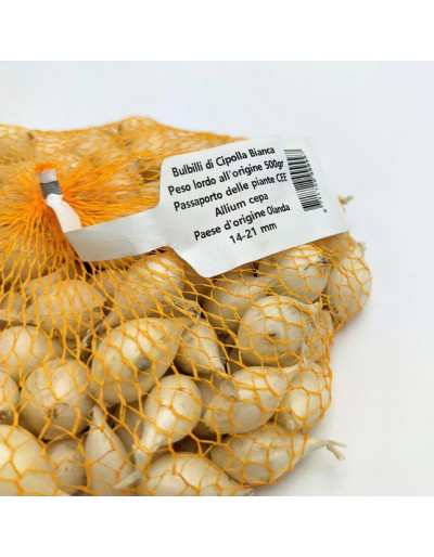 Cipollina Bianca Busta 500g