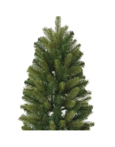 POLY GRODEN SPRUCE PENCIL Abete di Natale sempreverde