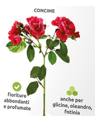 Granular fertilizer for roses