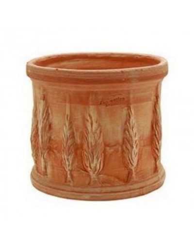 Vaso Cilindro Cipressi in...