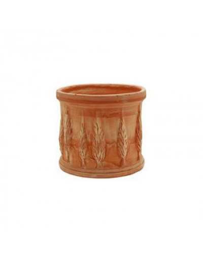 Vaso Cilindro Cipressi in...